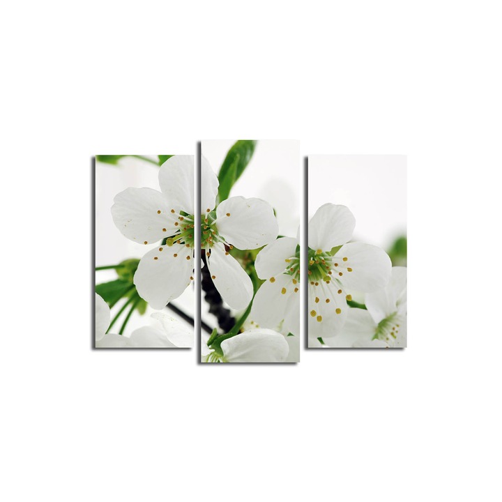 3 darabos dekoratív festménykészlet, Wallity, 66x45cm, 100% velúr, 100% fa