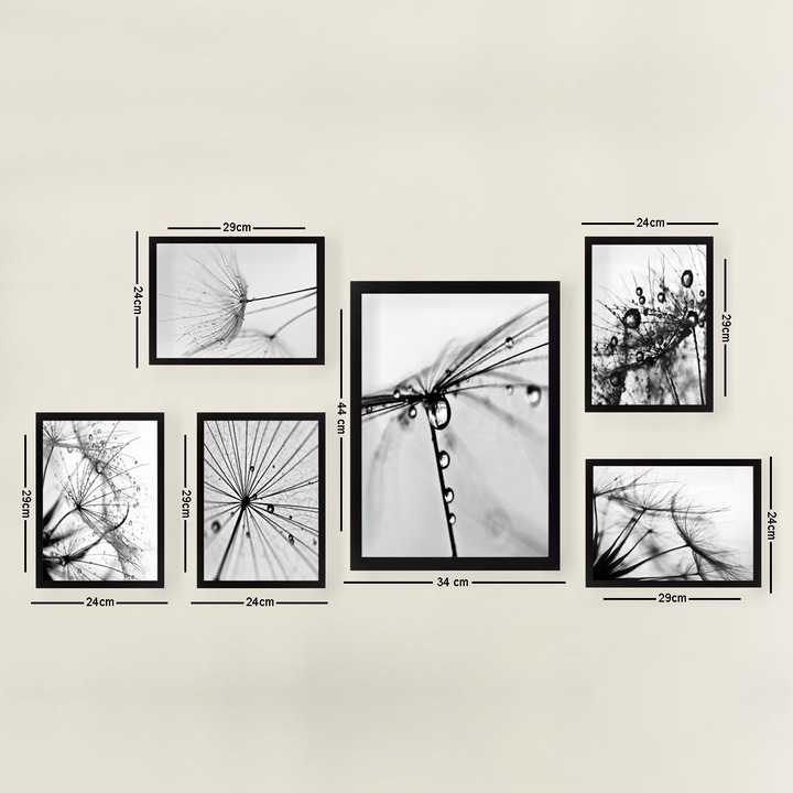 Dekoratív festmények, 6 darabos készlet, Wallity, 24x29cm, 24x44cm, MDF