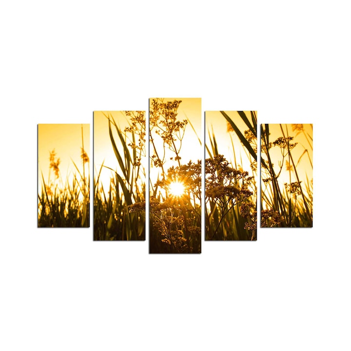 5 darabos dekorációs festőkészlet, Wallity, 110x60cm, 100% MDF