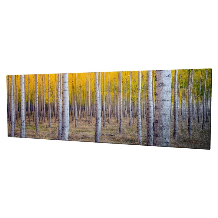 Dekoratív festmény vászonra, Wallity, 30x80cm, fa keretben