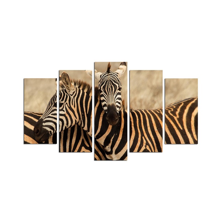 5 darabos dekorációs festőkészlet, Wallity, 110x60cm, 100% MDF