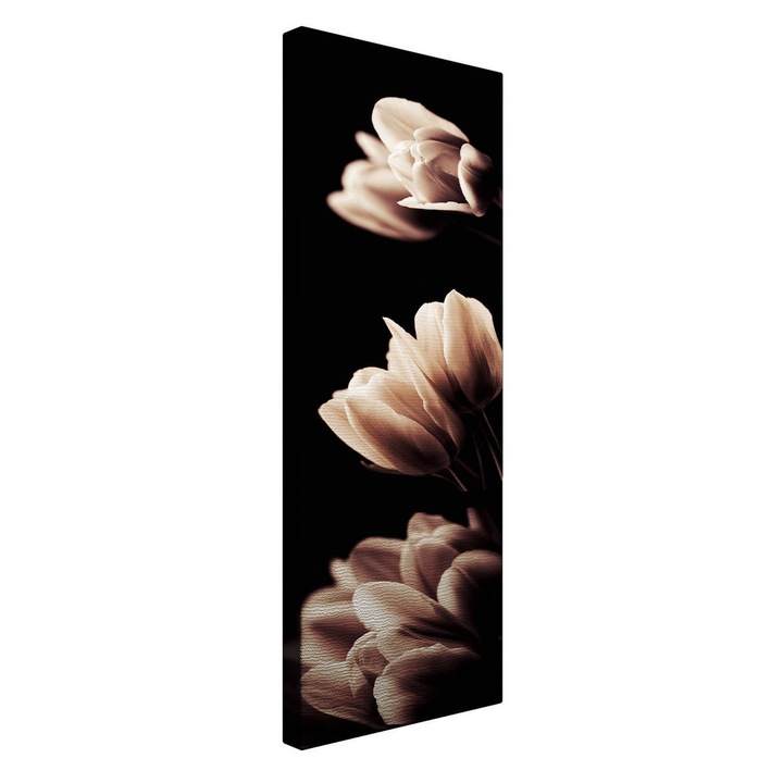 Dekoratív festmény vászonra, Wallity, 30x80cm, fa keretben