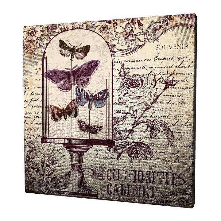 Dekoratív festmény vászonra, Wallity, 45x45cm, fa keretben