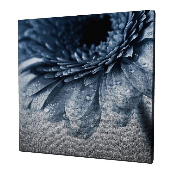 Dekoratív vászonfestmény, Wallity, 45x45cm, fakeret 3cm