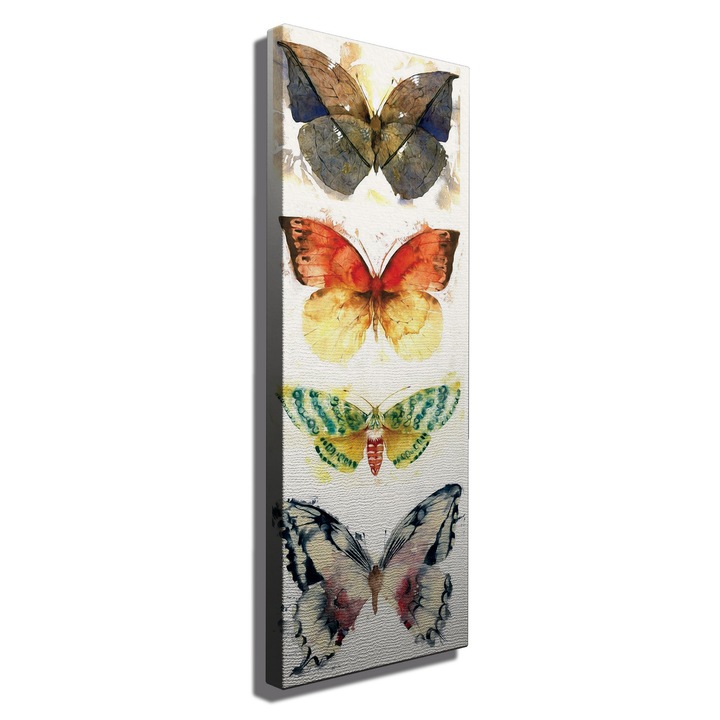 Dekoratív festmény vászonra, Wallity, 30x80cm, fa keretben