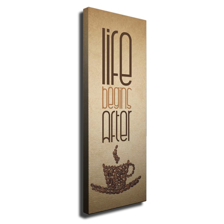 Dekoratív festmény vászonra, Wallity, 30x80cm, fa keretben