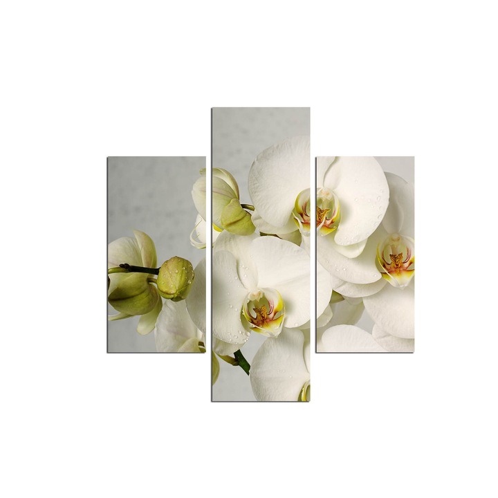 MDF díszképek (3 darabos készlet), Wallity, 20x60cm, 20x40cm, 64x60cm