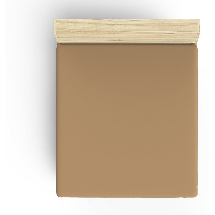 Cearceaf de pat Ranforce dublu XL, COLOUR COTTON, bumbac 100%, 140x200+30cm, maro deschis