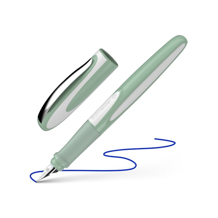 Stilou Schneider Ray, fistic