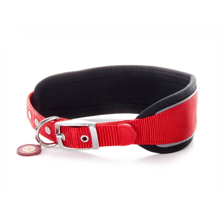 Zgarda Caini COMFORT pentru Caini de Talie Mica, Rosie (S: 34-41 cm) - Nailon cu Intaritura Moale, Catarama Metalica, Elemente Reflectorizante de Siguranta