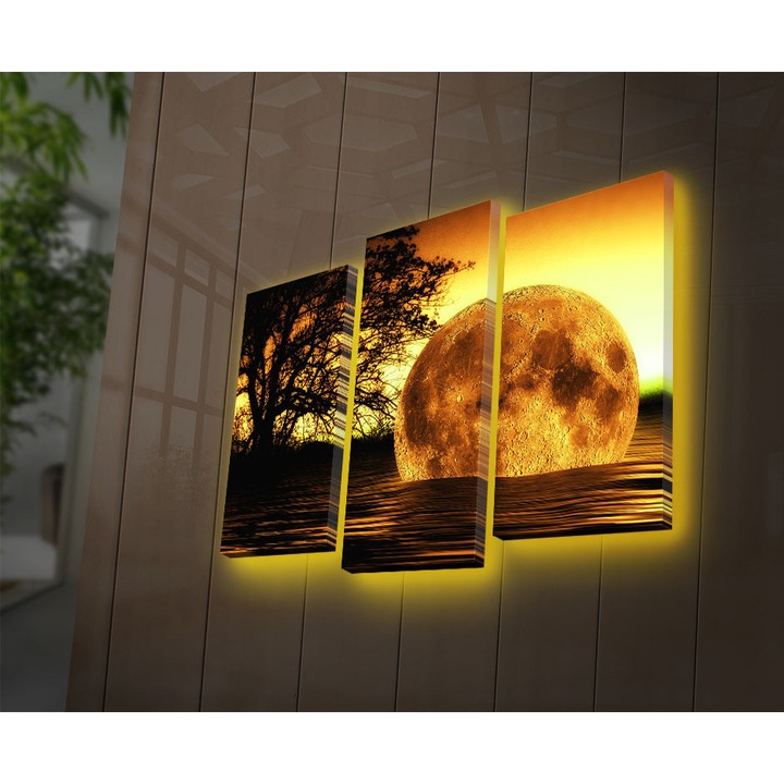 3 darabos festménykészlet, Wallity, 100% velúr, 66x45cm, LED világítással