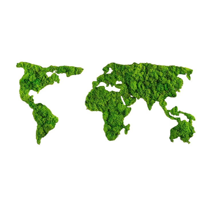 Dekoratív festmény, Wallity, 70x32cm, kézzel készített, mdf/moha