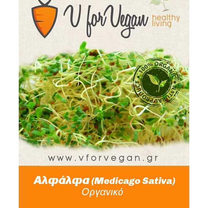 Seminte organice Geo pentru phytra Alpha-Alpha, 100g, bogate in enzime si vitamine