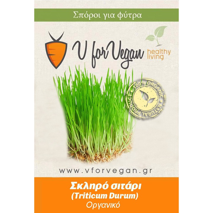 Seminte organice pentru germinare Triticum Durum Geo, 500g