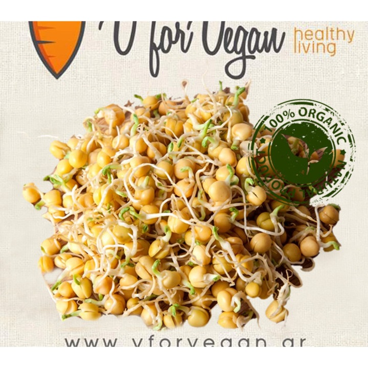 Seminte organice de rebithie, Geo, 250g, bogate in proteine, multivitamine