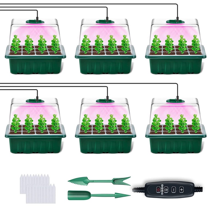 Mini sera pentru plante, 6 piese, auto-arrosage, iluminare LED, dimensiuni optime
