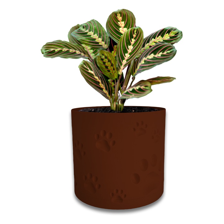 Ghiveci de flori 3d, Trigrix, rotund 12 x 11 cm, Culoare Maro