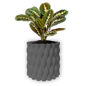 Ghivece si suporturi