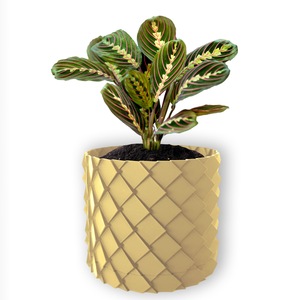 Ghivece si suporturi