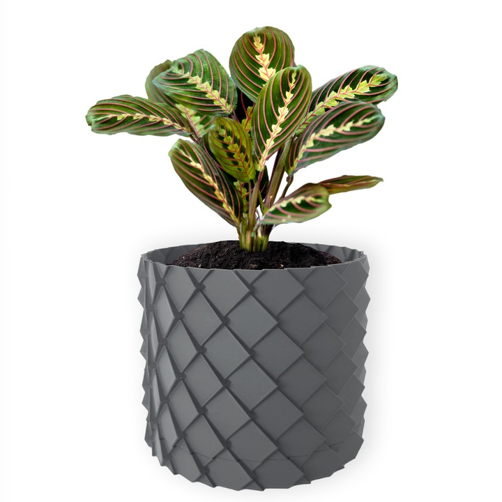 3D саксия за цветя, Вулканичен дракон, кръгла 12 x 11 см, цвят сив