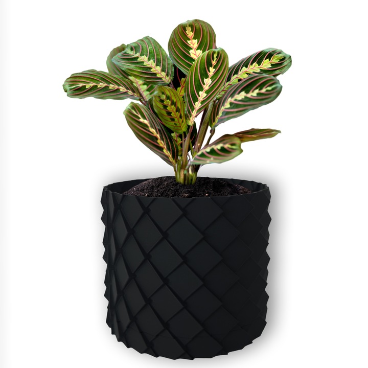 3D саксия за цветя, Вулканичен дракон, кръгла 15,5 x 14,5 см, цвят антрацит