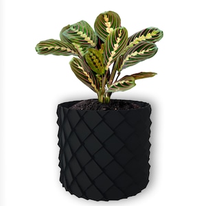 Ghivece si suporturi