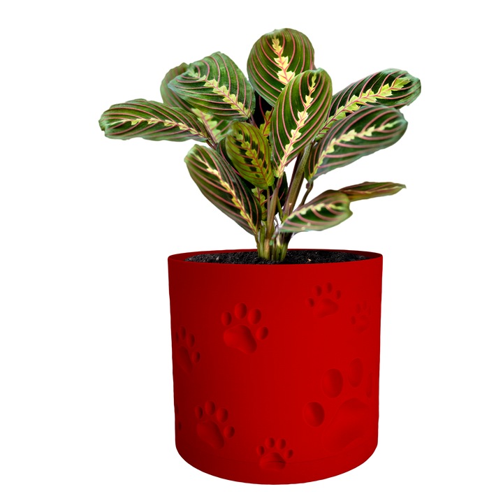 Ghiveci de flori 3d, Trace Animal, rotund 14.5 x 13.5 cm, Culoare Rosu