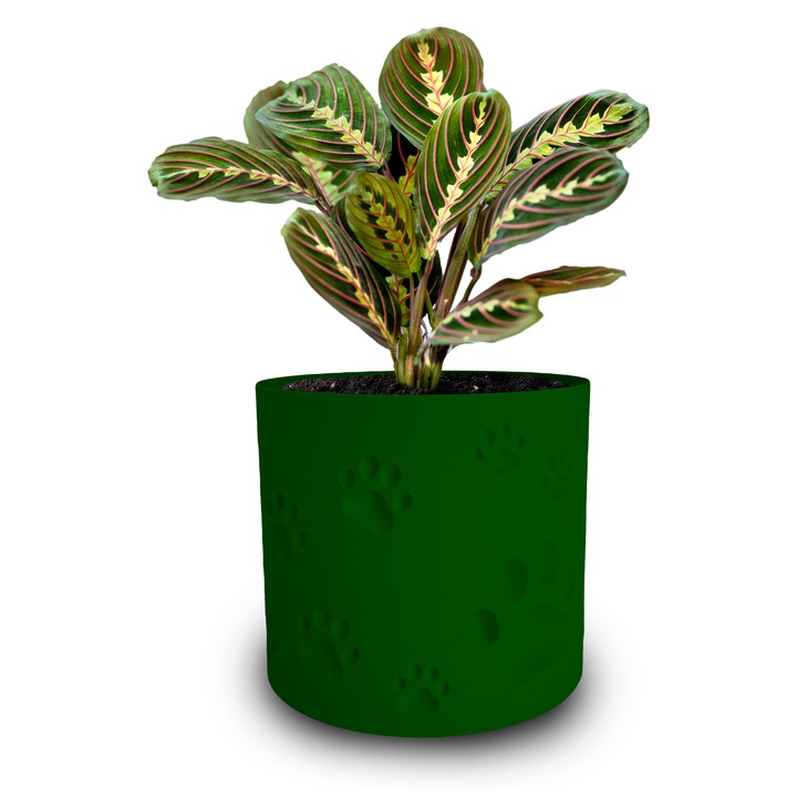 Ghiveci de flori 3d, Trace Animal, rotund 12 x 11 cm, Culoare Verde