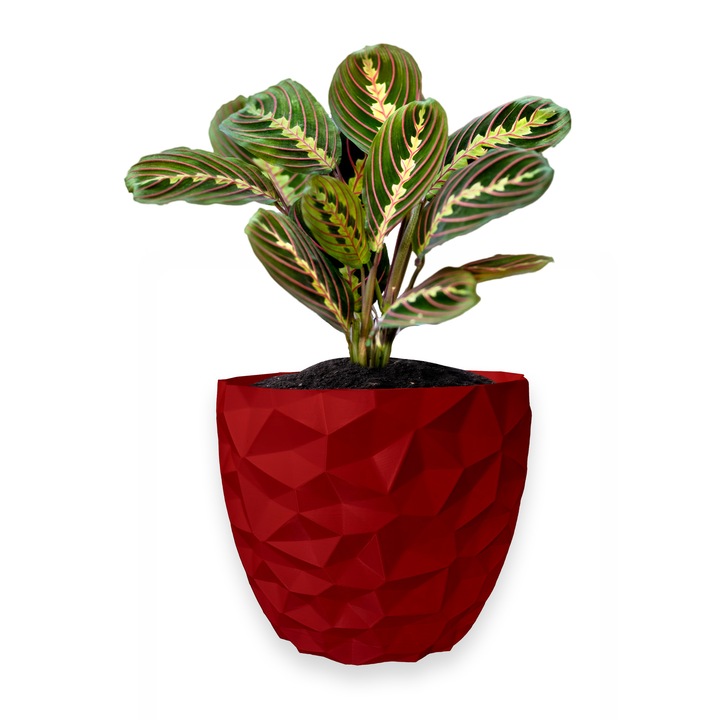 Ghiveci de flori 3d, Dunora, rotund 12 x 11 cm, Culoare Rosu