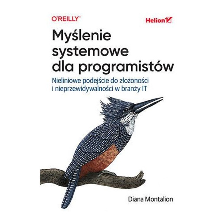 Gandire sistemica pentru programatori, Helion, abordare neliniara, IT, 15x23cm
