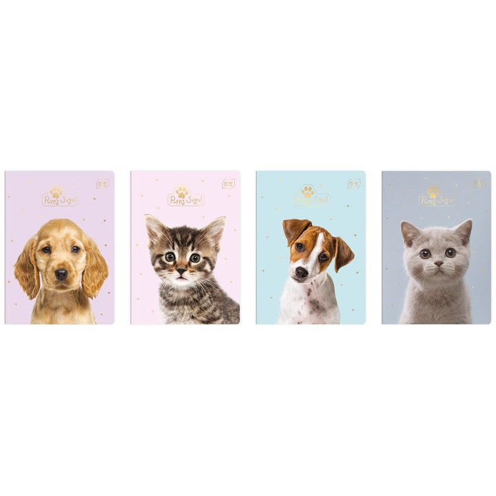 Set 20 caiete A5 Interdruk, 16 file, colturi rotunjite, coperta lucioasa