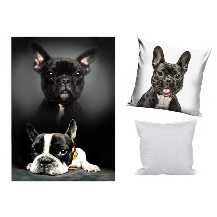 Kutyás polár takaró, párnahuzat és párna szett 3 db-os (Bulldog Moments)