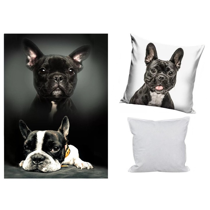 Комплект от 3 поларени одеяла, калъфка за възглавница и възглавници за кучета (Bulldog Moments)