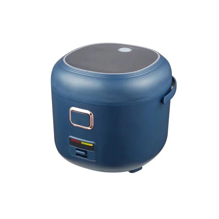 Aragaz electric, tensiune dubla, multifunctional, temporizator LCD, albastru 12V-24V 220V, albastru