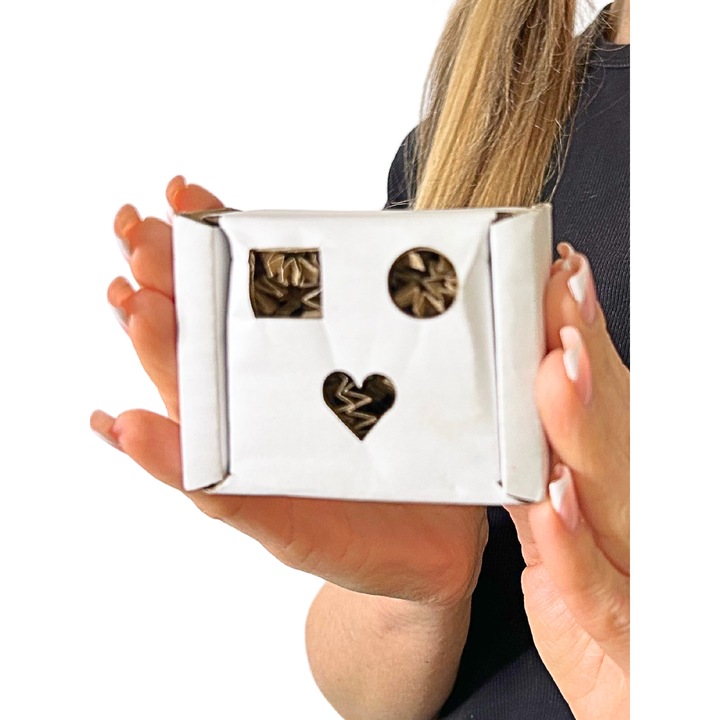 Cutie pentru papagali, Parrot Planet, 18.5x16.5x4cm, carton