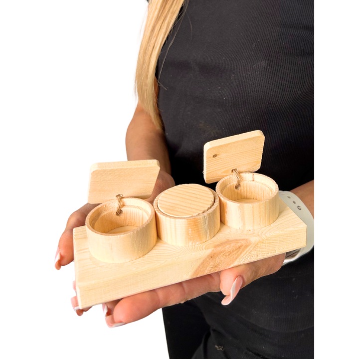 Jucarie interactiva pentru papagali, Greenwood, 15x4.5x6cm, din lemn