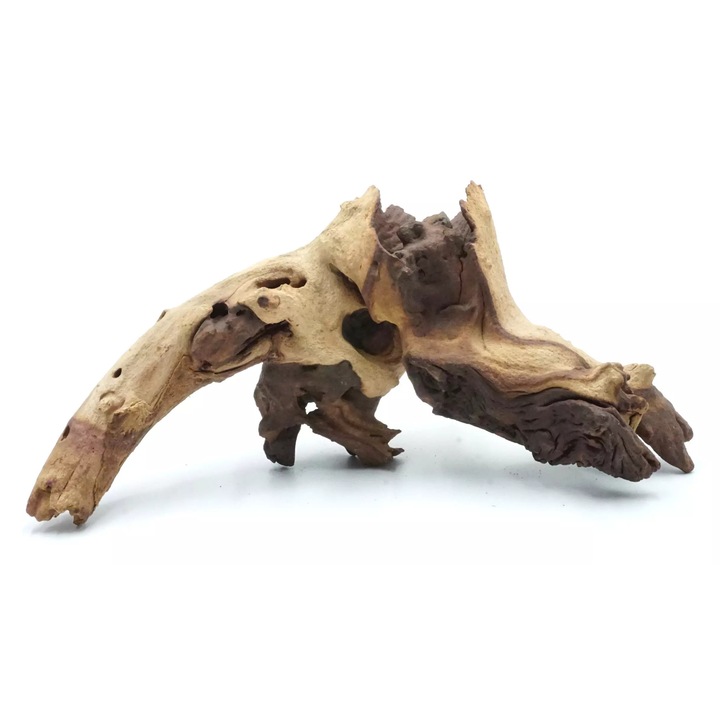 Radacina naturala Mopani Greenwood pentru papagali 15-20cm