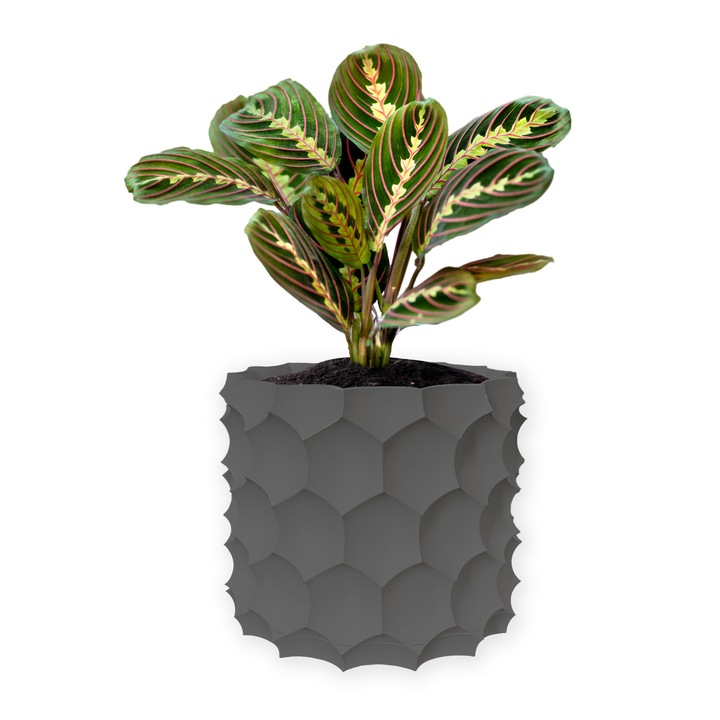 Ghiveci de flori 3d, Razorix, rotund 11 x 10 cm, Culoare Gri