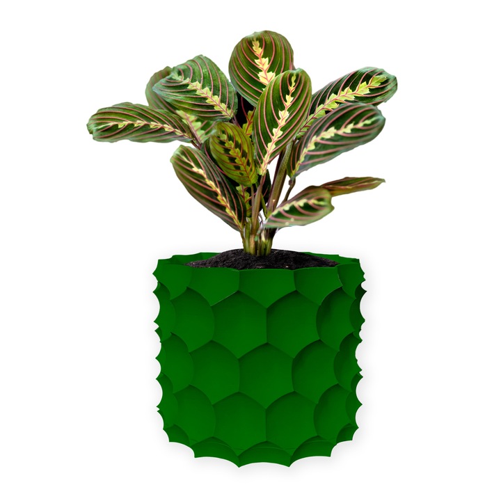 Ghiveci de flori 3d, Razorix, rotund 11 x 10 cm, Culoare Verde
