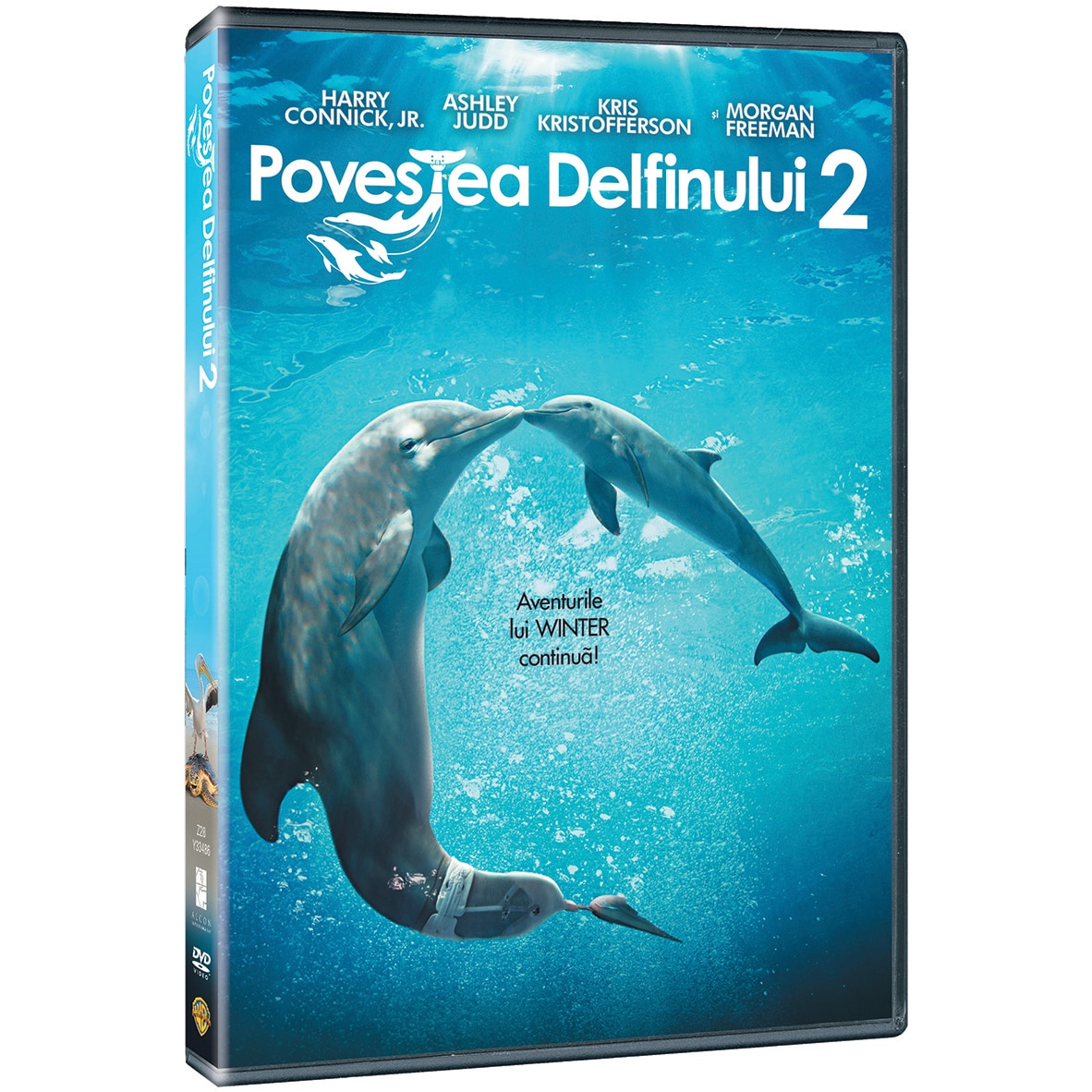 DOLPHIN TALE 2 [DVD]
