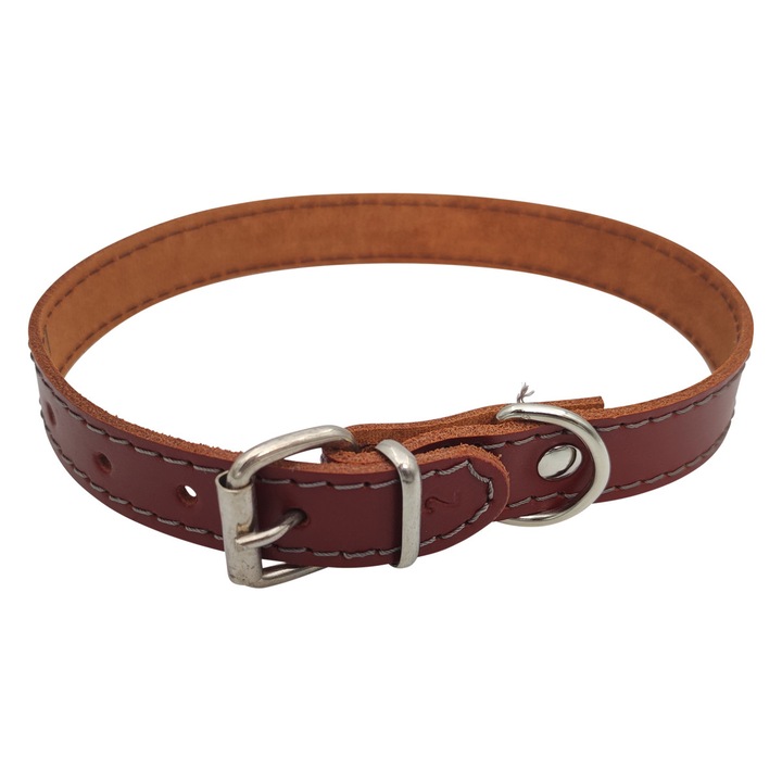 Zgarda Caini Piele Naturala Simpla (Nr.2: 2cm x 44 cm) PETRO - Maro, Produsa Manual, Durabila si Eleganta, Talie Mica spre Medie