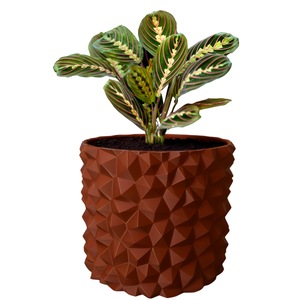 Ghivece si suporturi