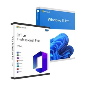 Microsoft Windows 11 Pro USB si Office 2024 Professional Plus