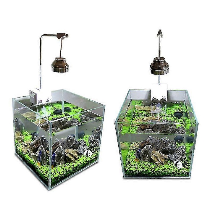 Seminte de plante acvatice pentru acvariu, Multicolor