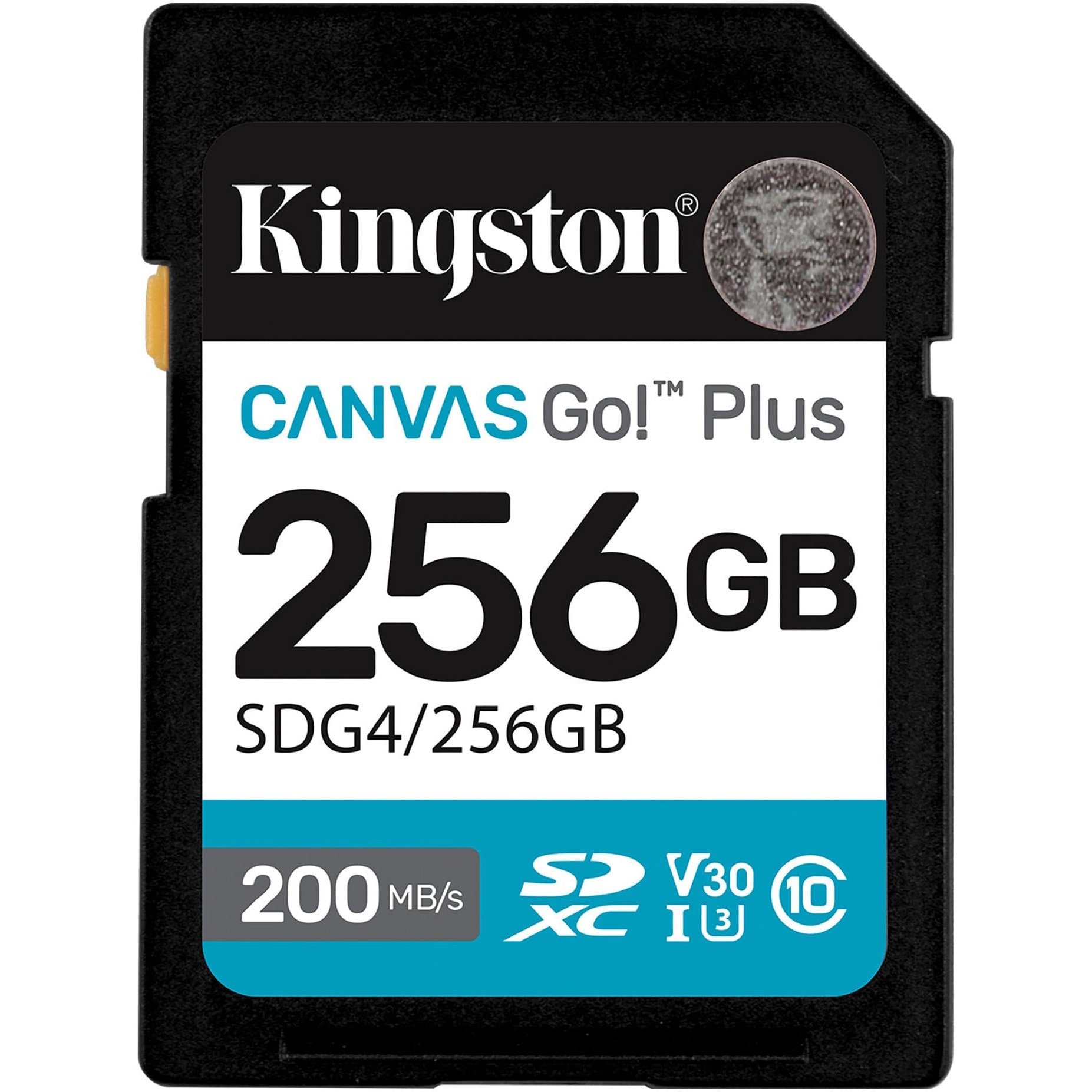 Kingston SDG4/256GB
