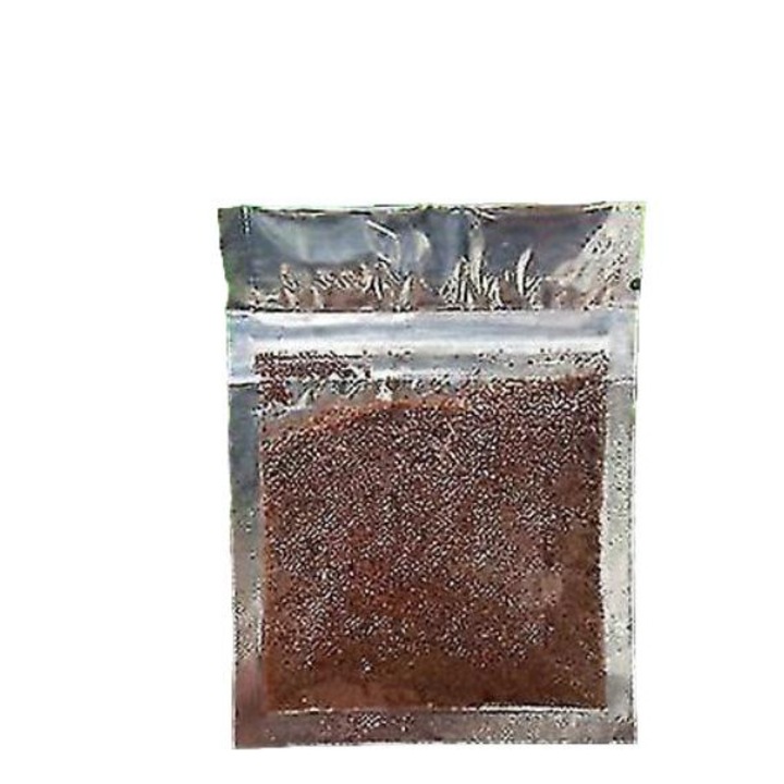 Seminte de plante acvatice pentru acvariu, 1 pachet, decorare, protectie, argintiu