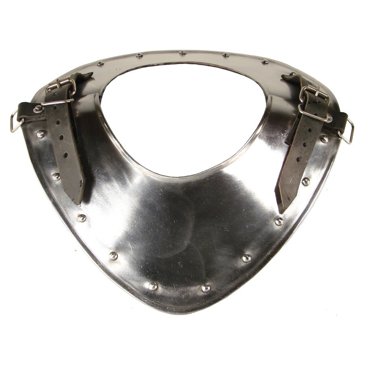 Placa de gat Warrior, Epic Armoury, otel, S, 30x14cm