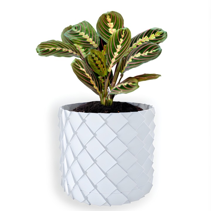 Ghiveci de flori 3d, Volcanic Dragon, rotund 11 x 10 cm, Culoare Аlb