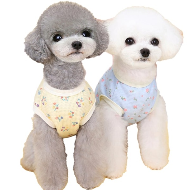 Set de haine pentru animale de companie, pulover pentru caini si pisici, albastru si galben, dimensiuni S, M, L, XL