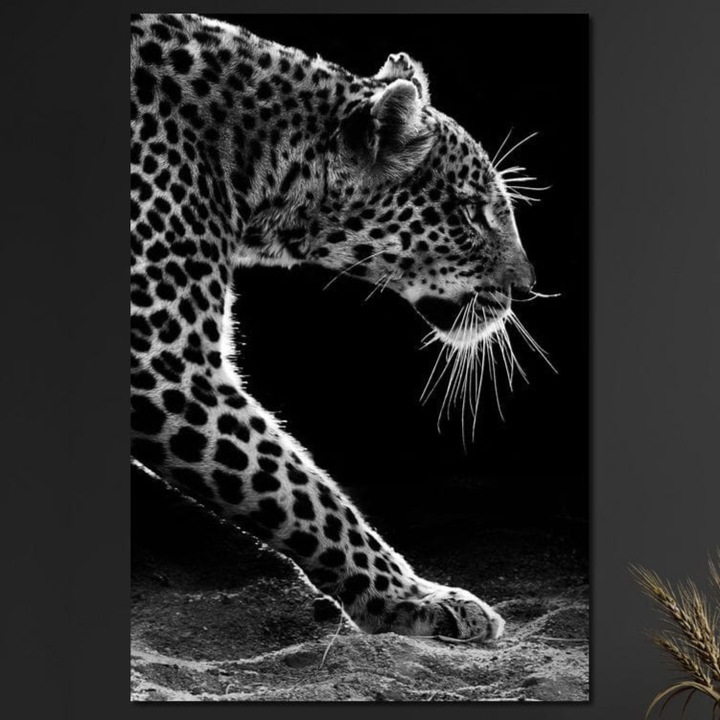 Премиум картина върху платно, LuxCanva® M1178, Моментът на атака, 70 X 100 см, 100% памучно платно 400 г/м2, дървена рамка, леопард, ловец, див, черно-бял, профил, котешки, портрет, атака, реалистичен, силен, офис, хол, детска стая